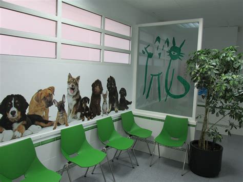 Clínica de Mascotas Veterinaria Y Guardería .